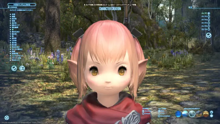 Ff14 好きになれる自キャラをつくろう キャラクリ紹介 キャラゲッ