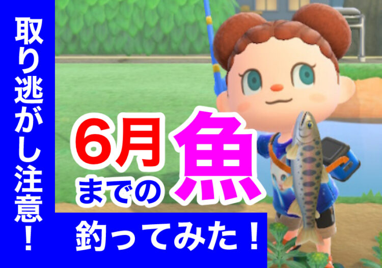 あつ森 取り逃がしてない 6月までの魚釣ってみた 北半球 キャラゲッ