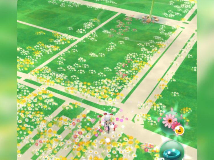 ピクミンブルーム花植えと街の様子