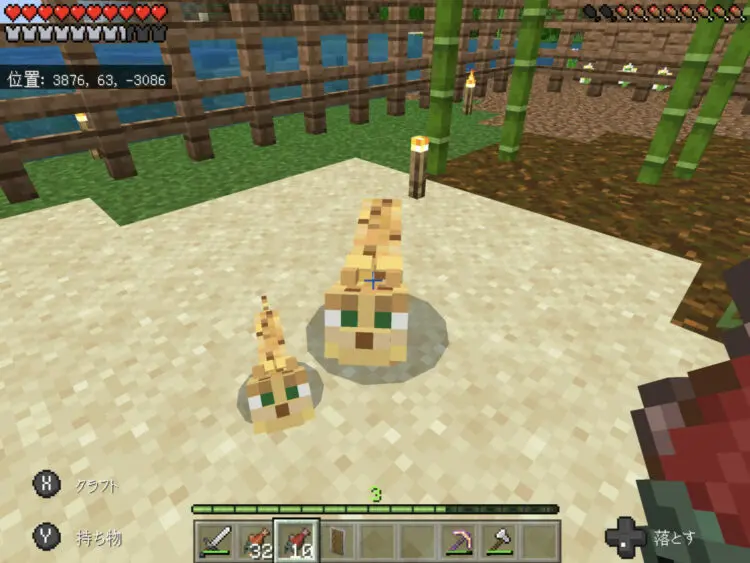 Minecraft マインクラフト 珍しいバイオームと癒やされる動物たち キャラゲッ